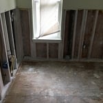 Mold Remediation