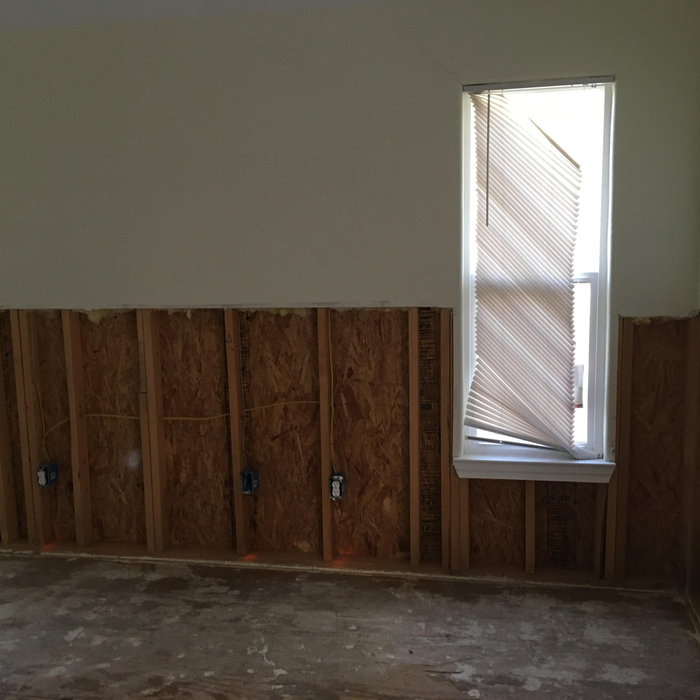Mold Remediation