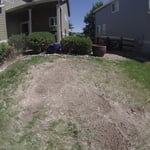 Surface Roots - After