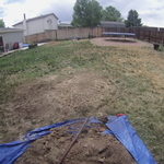 Typical Stump - After