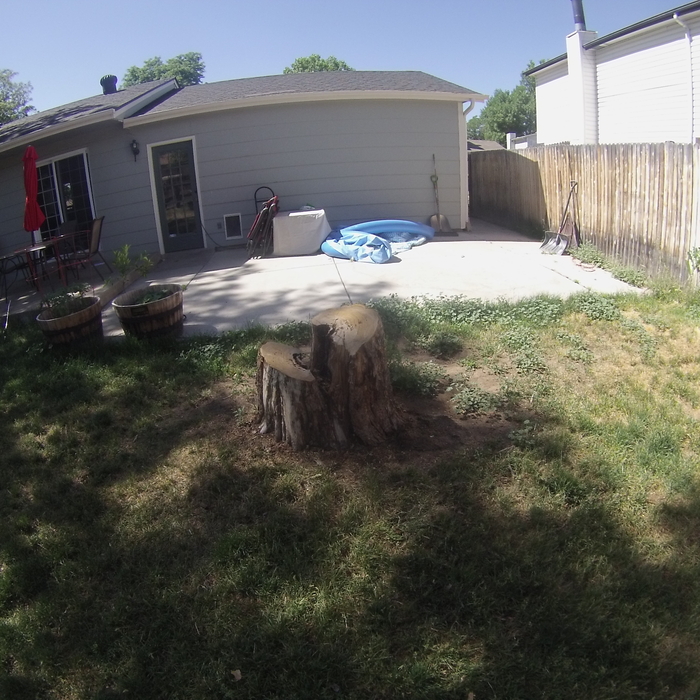 Typical Stump - Before