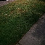 Yard Debris