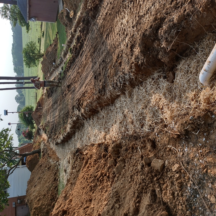 Septic system