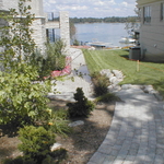 Backyard Garden