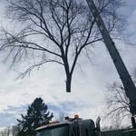 Silver Maple 30 Ton Crane