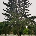 National Cemetery