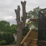 Removal close to house
