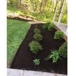 Albertolandscaping