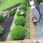 Albertolandscaping