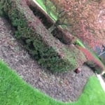 Albertolandscaping