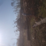 Hurricane Michael
