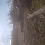 Hurricane Michael 2018