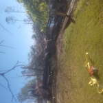 Hurricane Michael 2018