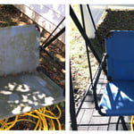 Mold and Lichen Removal