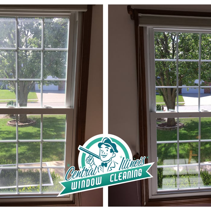 Window and Sill Cleaning