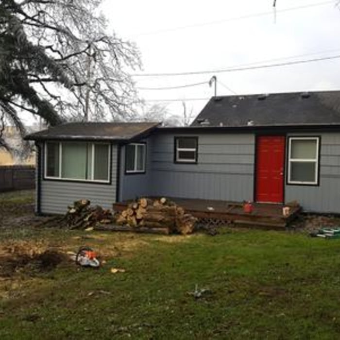After roof repair and tree removal