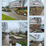 Lawn & Garden Care