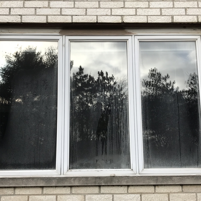 Old 3 lite casement