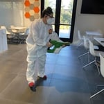 Electrostatic Disinfection