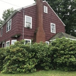 Before the hedge trimming.