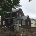 The Back yard