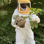 Hornet