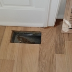 Floor Refinishing