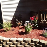 Landscape Make Over