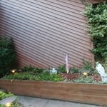 Landscape Make Over