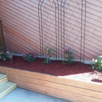 Landscape Make Over