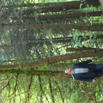 Arborist