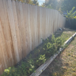 fencing