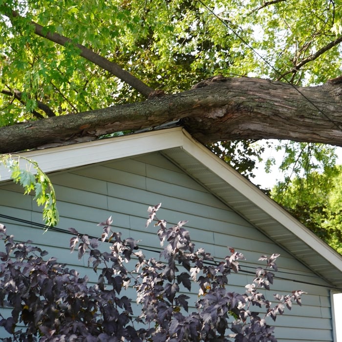 Damage to Garage from Tree Fall