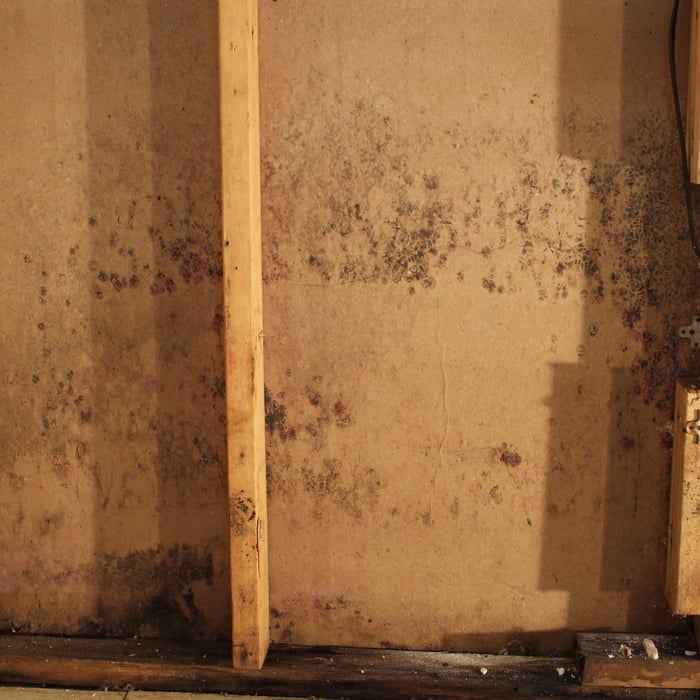 Aliquippa Mold Job