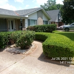 Shrubs and Bushes