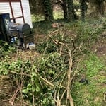 Brush clean up