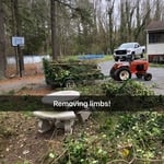 Brush to clean up!