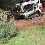 Carlos Tree Service