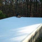 Fully Adhered .060 TPO
