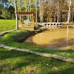 Grass Has grown and pond was filled by runoff.