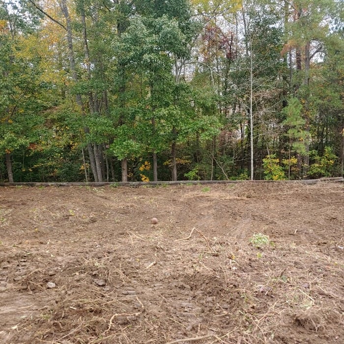 Trees and brush removed