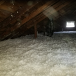 Foam Insulation