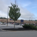 Lowe’s mulch job