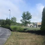 Lowe’s mulch job