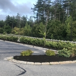 Lowe’s mulch job