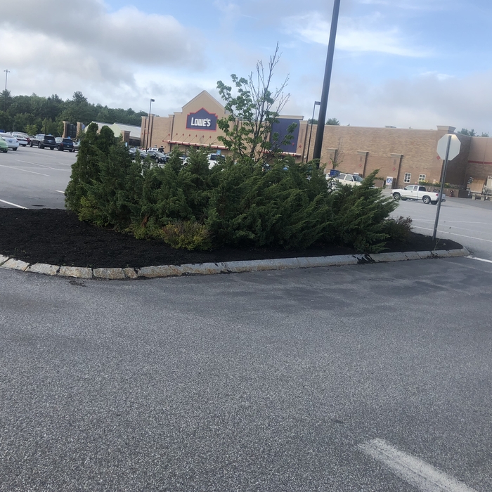 Lowe’s mulch job