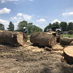 Big chainsaw in use