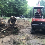 Stump removal