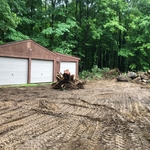 Stump removal