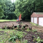 Stump removal